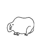 2-Castor_Nuevo-Mundo